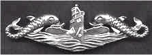 U.S. Pin-back sterling silver dolphins, deep wave - image 